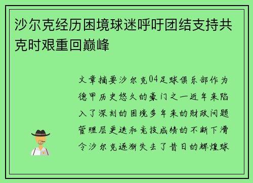 沙尔克经历困境球迷呼吁团结支持共克时艰重回巅峰