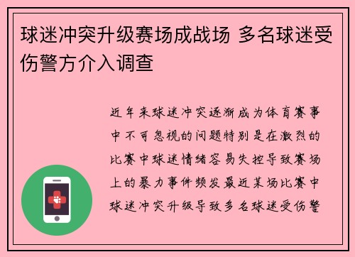 球迷冲突升级赛场成战场 多名球迷受伤警方介入调查